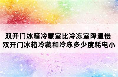 双开门冰箱冷藏室比冷冻室降温慢 双开门冰箱冷藏和冷冻多少度耗电小